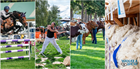 Wānaka A&P Show , Wānaka, Central Otago