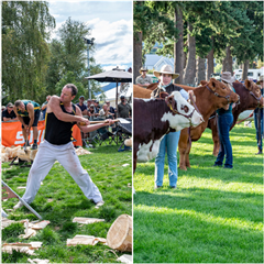 Wānaka A&P Show , Wānaka, Central Otago