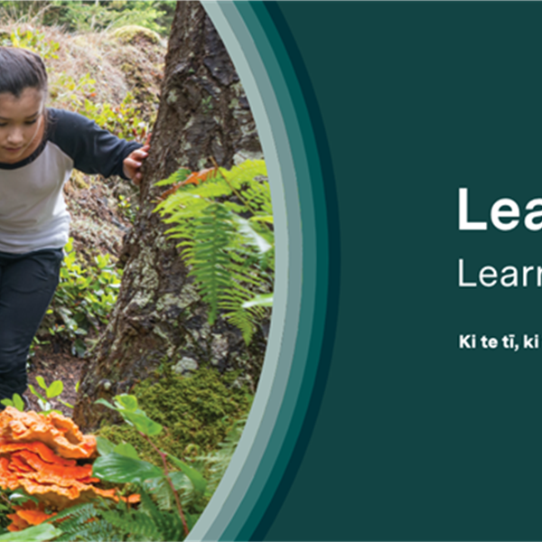 Te Ara Kōhungahunga | Early Childhood - Online Learning (The Correspondence School)