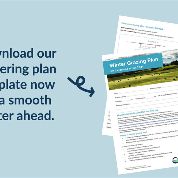 Winter Grazing Plan for Southland