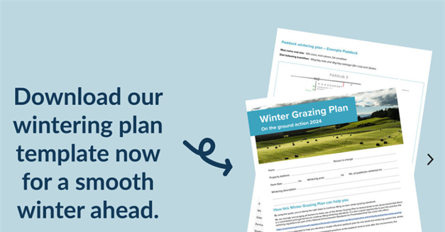 Winter Grazing Plan for Southland
