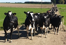 Federated Farmers Sharemilking & Contract Milking Workshop - Winton, Southland