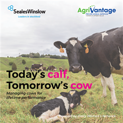 Dairy Women's Network - Today's Calf, Tomorrow's Cow - Southland