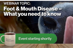 Federated Farmers Webinar - Foot & Mouth Disease - What you need to know