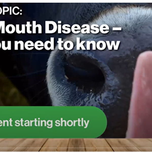 Federated Farmers Webinar - Foot & Mouth Disease - What you need to know