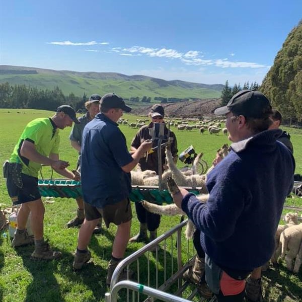 NZ Young Farmers and Rural Support Trust join forces to enhance wellbeing