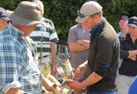 Tailing without pain at workshop for farmers - Story by Joanna Grigg, Farmers Weekly