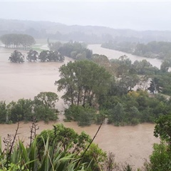 Woolworths customers give $250K for Cyclone Gabrielle recovery