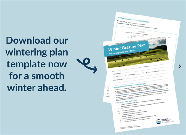 Winter Grazing Plan for Southland