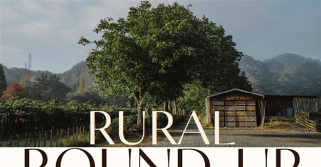 Rural Roundup - Paengaroa, Bay of Plenty