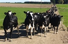 Federated Farmers Sharemilking & Contract Milking Workshop - Winton, Southland