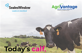 Dairy Women's Network - Today's Calf, Tomorrow's Cow - Calf Expo