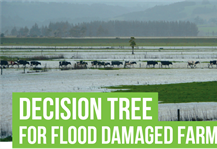 Decision Tree for Flood Damaged Farms