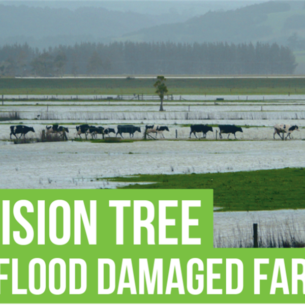 Decision Tree for Flood Damaged Farms